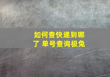 如何查快递到哪了 单号查询极兔